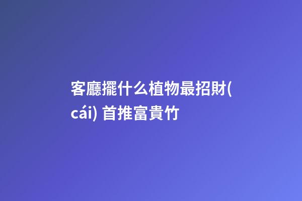 客廳擺什么植物最招財(cái) 首推富貴竹